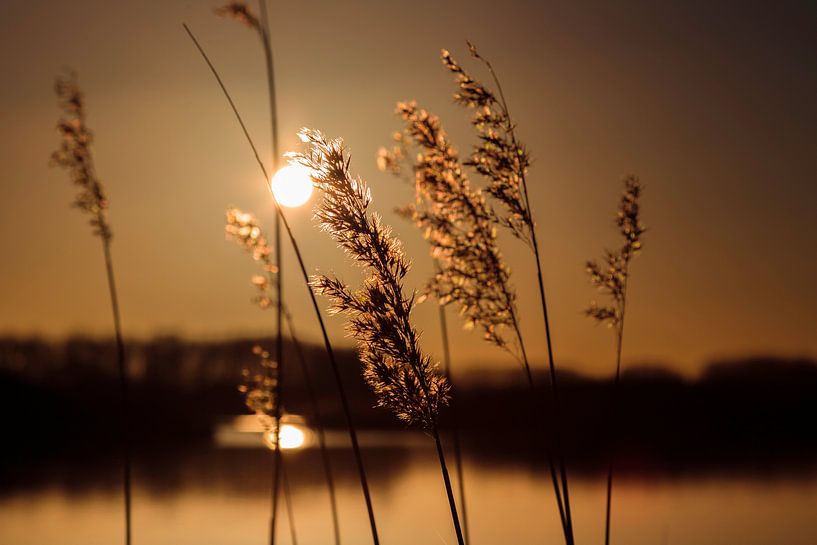Light caught in silence by Quirina Kamoen