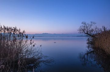 Pfäffikersee von Alena Holtz