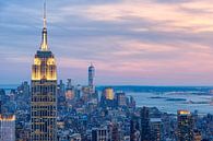 Manhattan vanaf Top of de Rock (Rockefeller Center) van Mark De Rooij thumbnail