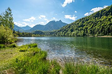 schöne Schwanensee im Allgäu beim Säuling, Neuschwanstein und Füssen von Leo Schindzielorz