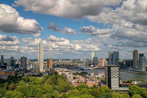 Skyline Rotterdam