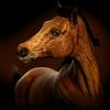Portrait of a horse by Arjen Roos