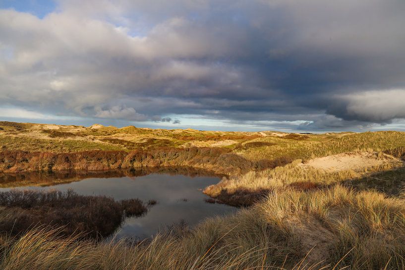 paysage de dunes par Marieke Funke