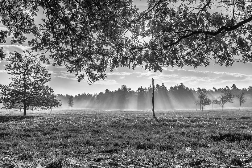 Eenzame Totem monochroom van Boris de Weijer