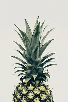 Ananas van Felix Brönnimann