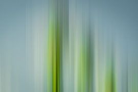 touche de couleur sur Ralf Hickmann