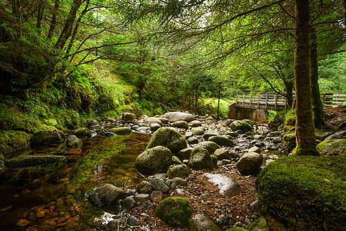 Schotland op zijn mooist!