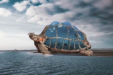 Carrying water in turtle jars by Elianne van Turennout