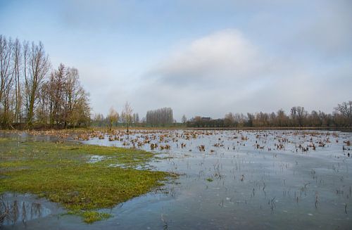De Blaauwe Kamer Wageningen- Plas 01