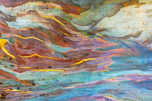 Natuurlijke beweging