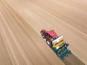 Traktor beim Einpflanzen von Kartoffelsetzlingen in den Boden im Frühjahr