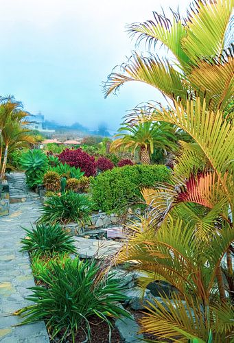 Mooi eiland La Isla Bonita