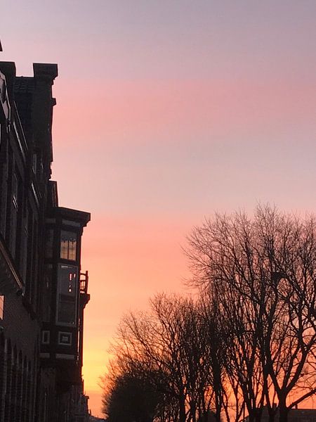 SUNN! von Jill Couwenberg