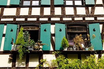 Fenster mit Blumen und Klappläden an Fachwerkhaus Fassade in Strassburg von Dieter Walther