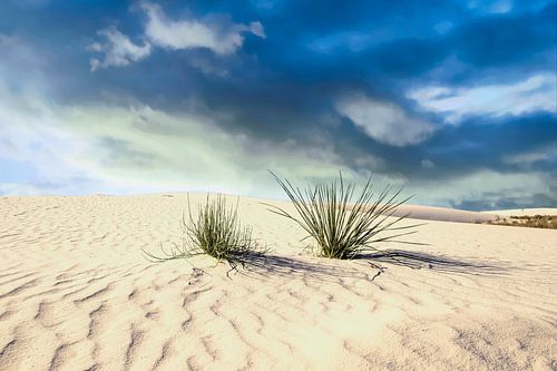 White Sands National Monument, New Mexico, USA