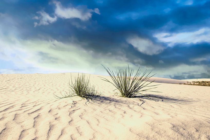 White Sands National Monument, New Mexico, USA by Gert Hilbink