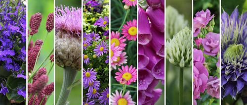 palette d'été