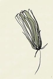 Flower of peace by AnkieArt