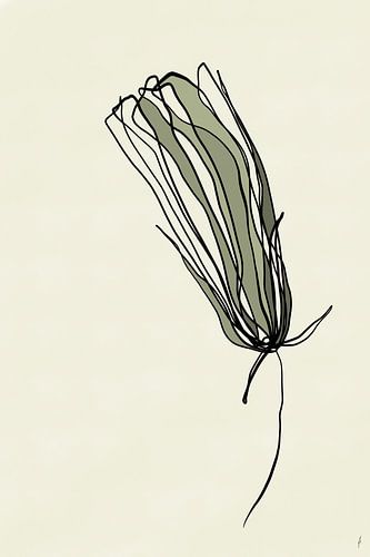 Flower of peace