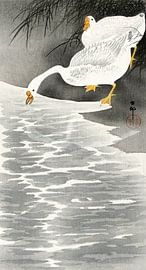 Ohara Koson – Gänse am Ufer (1900–1930) | Historischer japanischer Holzschnitt von Timeless Artworks