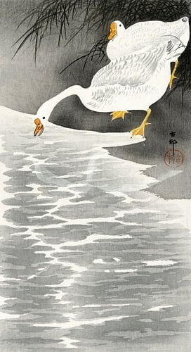 Ohara Koson – Ganzen aan de kust (1900–1930) | Antieke Japanse houtsnede