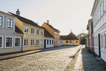 Odense von Lisa Bouwman