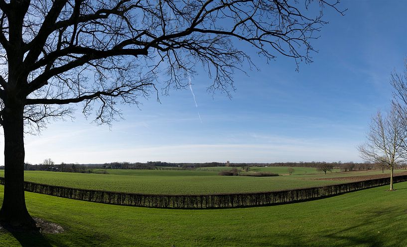 Zicht op Cadier en Keer in Limburg Nederland met silhouet van boom van Leoniek van der Vliet