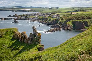 Felsformationen in St. Abbs Head in Schottland von Arja Schrijver Fotografie