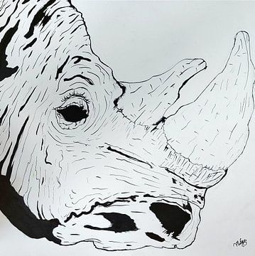 Rhinoceros by Melle G