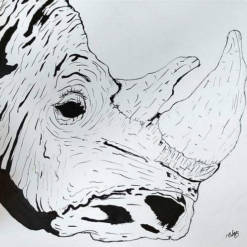 Rhinocéros