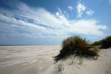 Helmgras op strand Schiermonnikoog van Edwin van Wijk