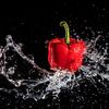 Paprika Splash van Christel Bekkers