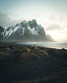 Only on Iceland’s black beaches by Frederik Opdeweegh