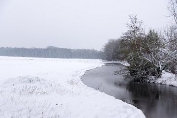 Winter wonderland van As Janson