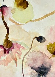 In the eyes of Alice