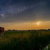 Zonsondergang in het weiland van Jos Krick Photography