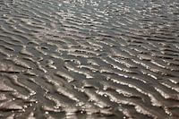Water Ribbing