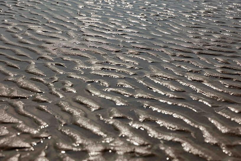 Water Ribbing by Anouk Peeters