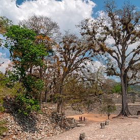 Honduras: Copán (Los Sapos) van Maarten Verhees