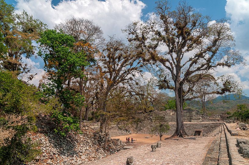 Honduras: Copán (Los Sapos) by Maarten Verhees