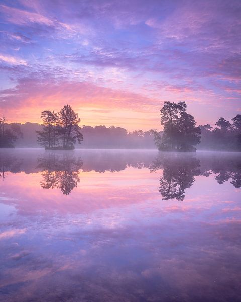 Oisterwijkse Vennen, colourful sky by Robin Gooijers | Fotografie