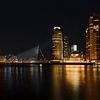 Skyline Rotterdam met Erasmusbrug van Bas Vogel
