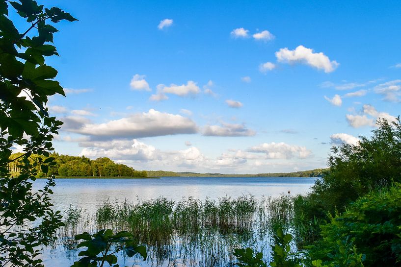 Silkeborg Denemarken par Nathalie Scholtens - den Besten