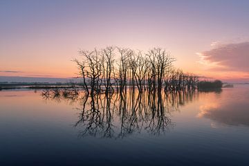 Een ochtend bij het natuurgebied Tusschenwater Drenthe van Marga Vroom