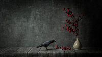 Schwarze Krähe und rote Beeren
