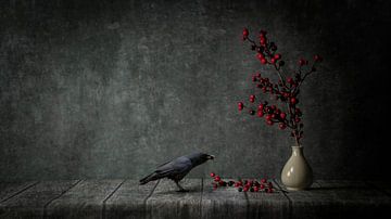 Crow with red berries by Cindy Dominika