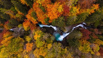 River through colourful autumn landscape in Switzerland by Ewold Kooistra