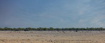 Dans la savane namibienne (Naukluft) sur Eddie Meijer