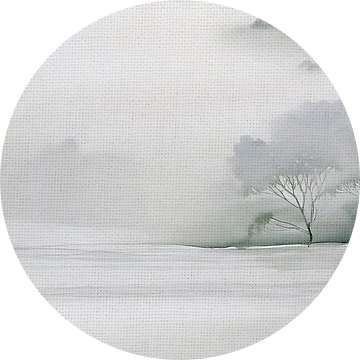 ZEN Kunst: Mistig Panorama van een bomen landschap