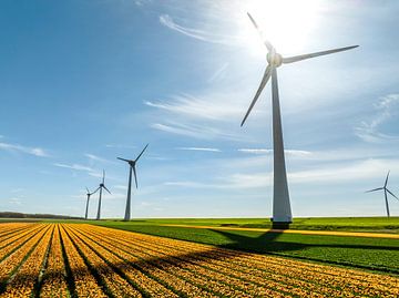 Tulpen in landbouwvelden met windturbines op de achtergrond